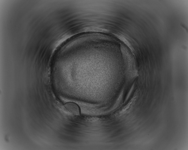 X0000095670971200801221201