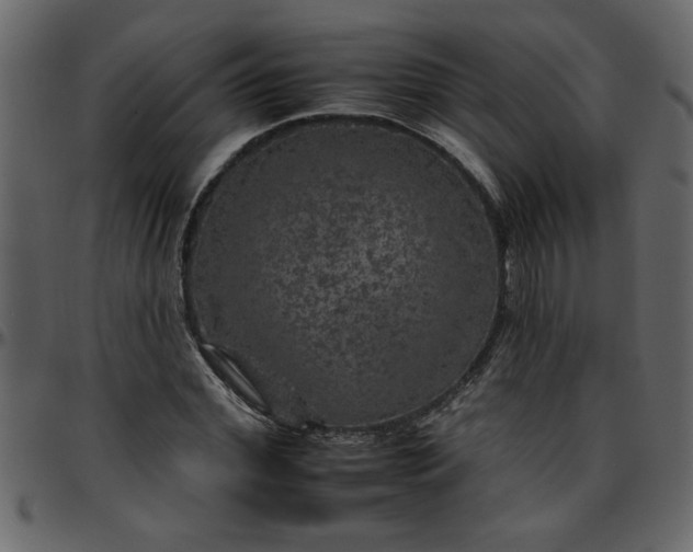 X0000095670972200801221201