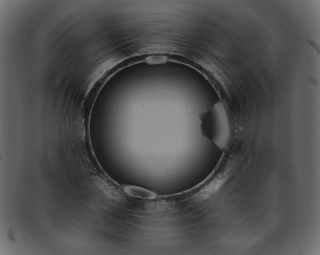 X0000095670973200801221201