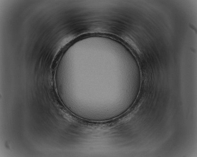 X0000095670974200801221201