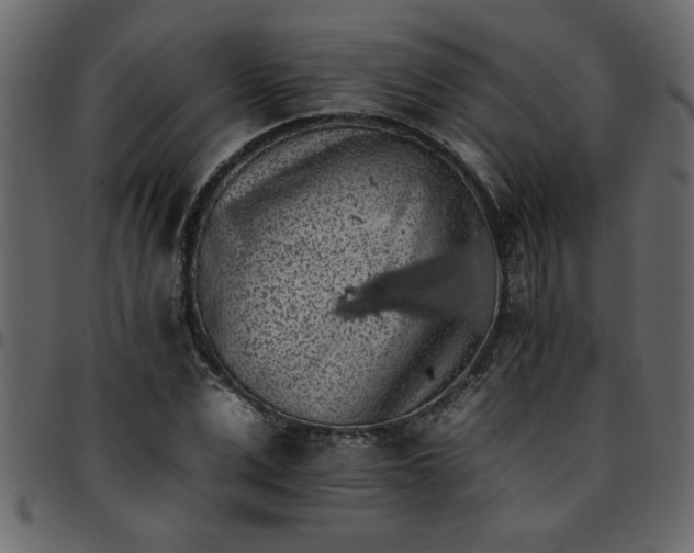 X0000095670975200801221201