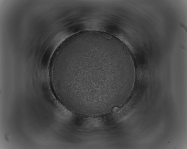 X0000095670976200801221201