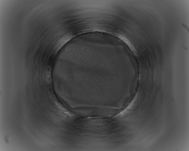 X0000095670977200801221201