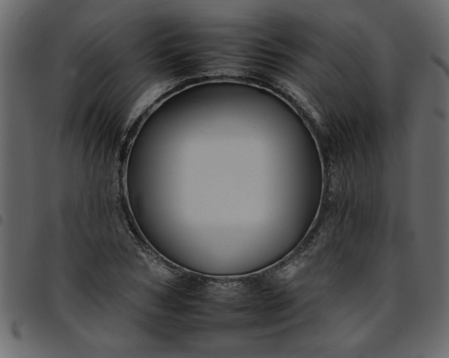 X0000095670978200801221201