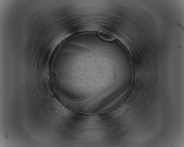 X0000095670979200801221201