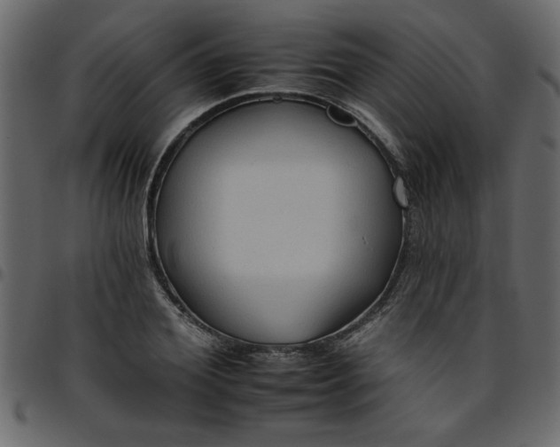 X0000095670980200801221201