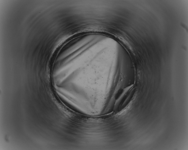 X0000095670981200801221201