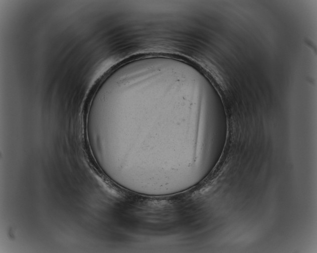 X0000095670982200801221201