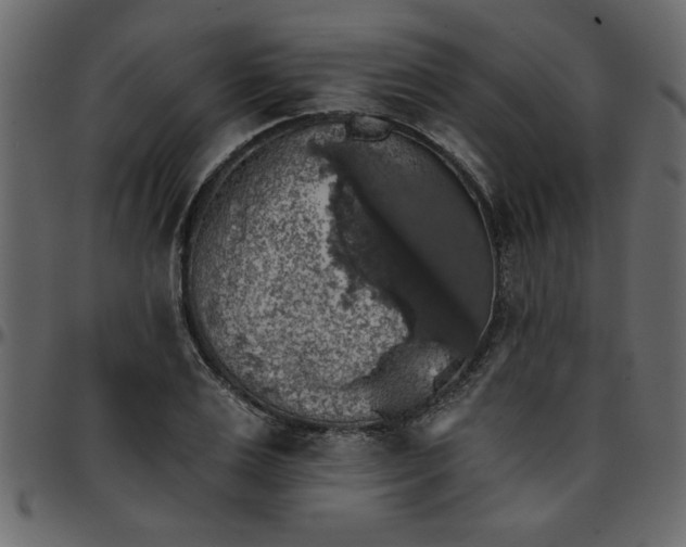 X0000095670983200801221201