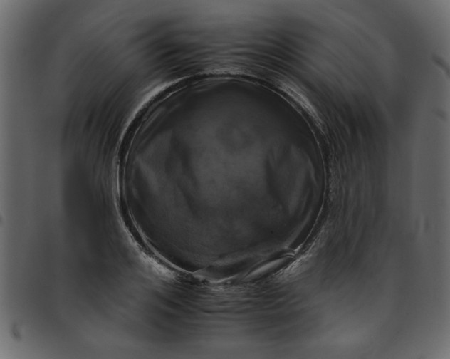 X0000095670984200801221200