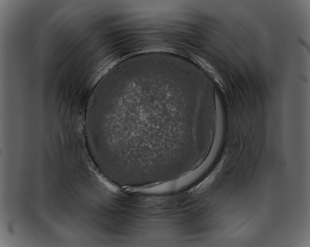 X0000095670985200801221200