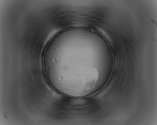 X0000095670986200801221200