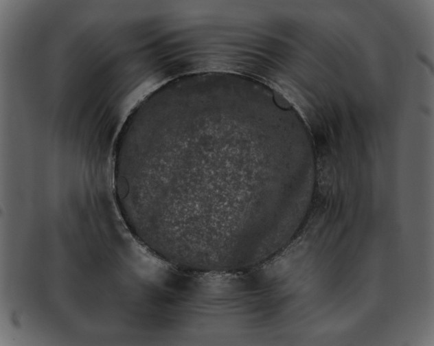 X0000095670987200801221200