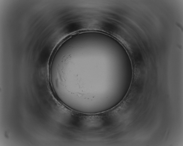 X0000095670988200801221200