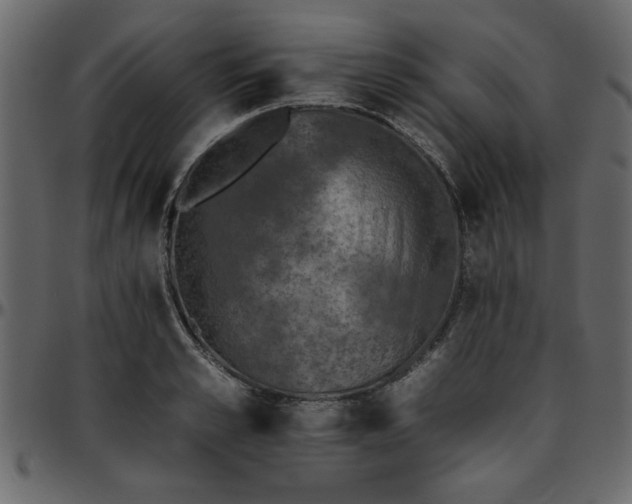 X0000095670989200801221200