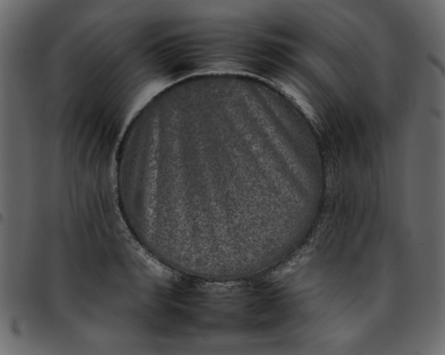 X0000095670990200801221200