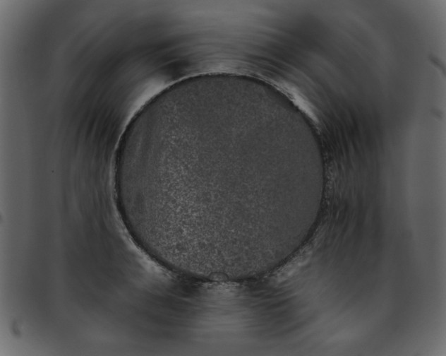 X0000095670991200801221200