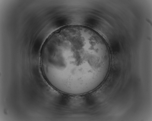 X0000095670992200801221200