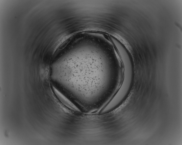 X0000095670993200801221200