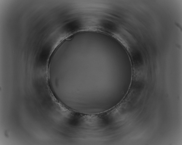 X0000095670994200801221200