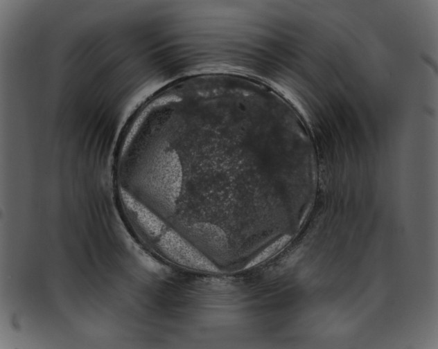 X0000095670995200801221200