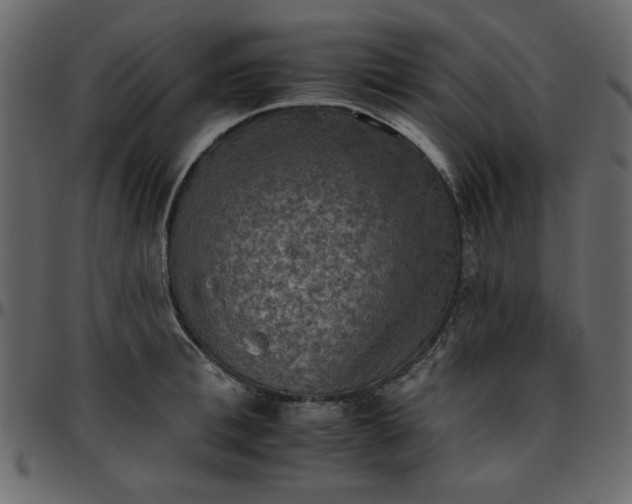 X0000095670996200801221200