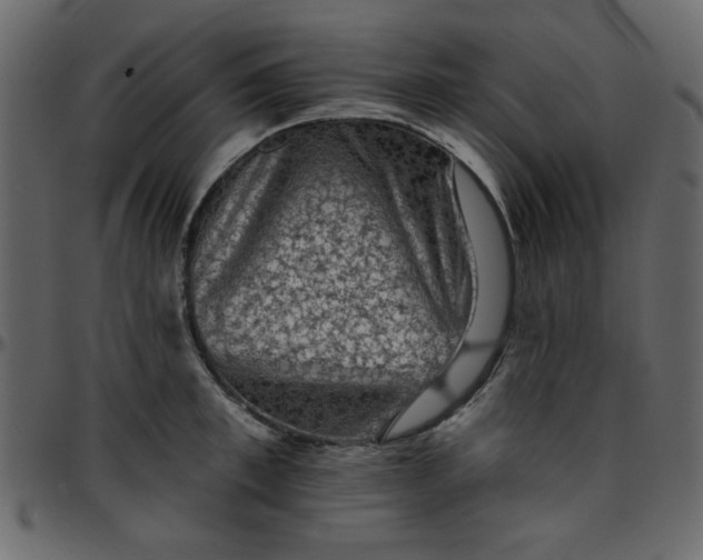 X0000095670997200801221200