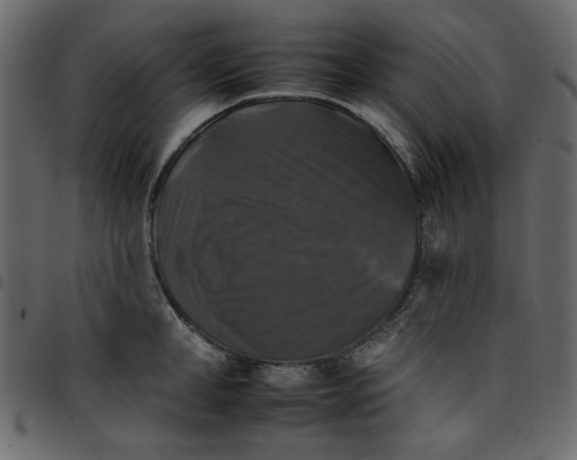 X0000095670998200801221200