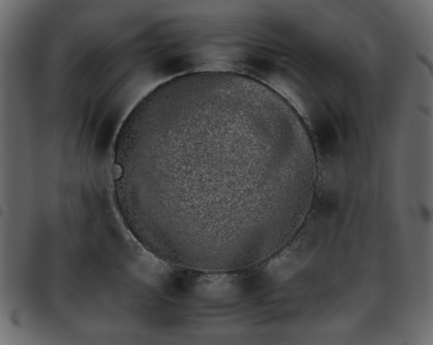 X0000095671000200801221200