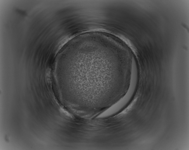 X0000095671001200801221200