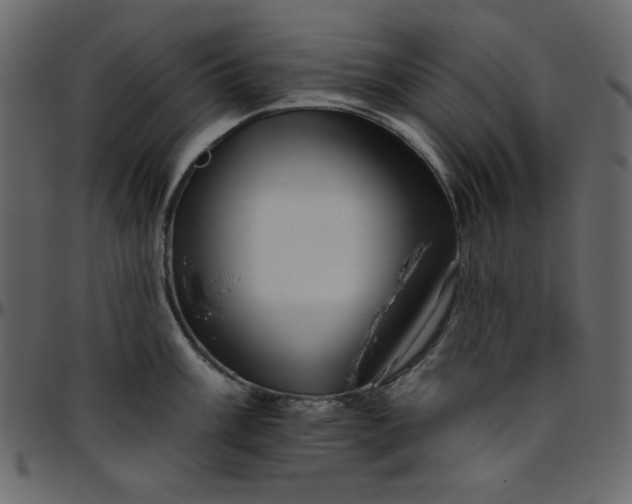 X0000095671003200801221200