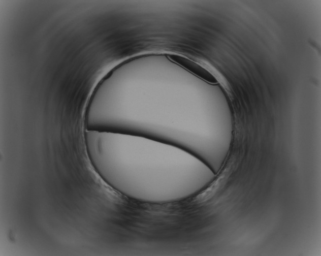 X0000095671004200801221200