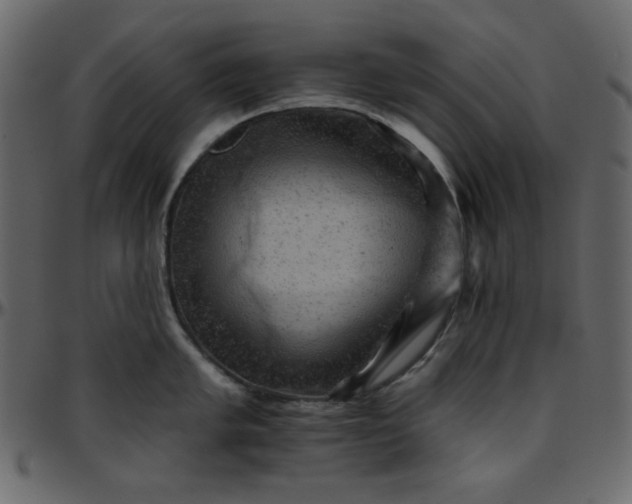 X0000095671005200801221200