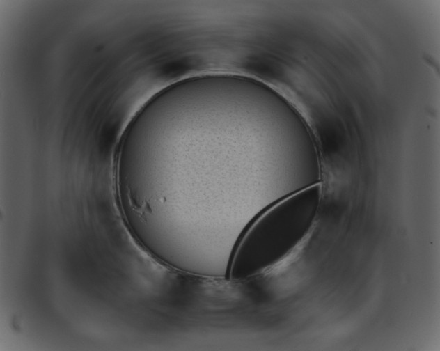 X0000095671006200801221200