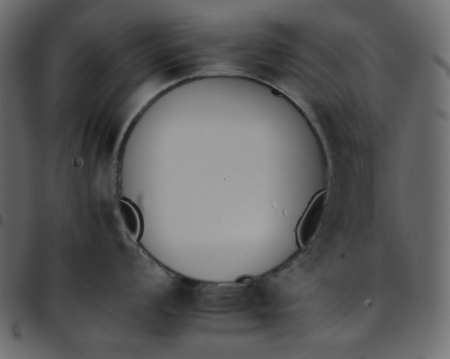 X0000095671008200801221200