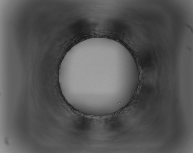 X0000095671009200801221200