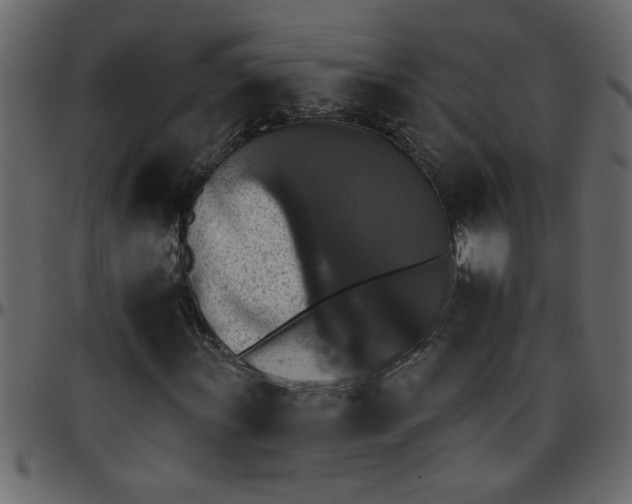 X0000095671011200801221200