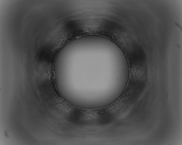 X0000095671012200801221200