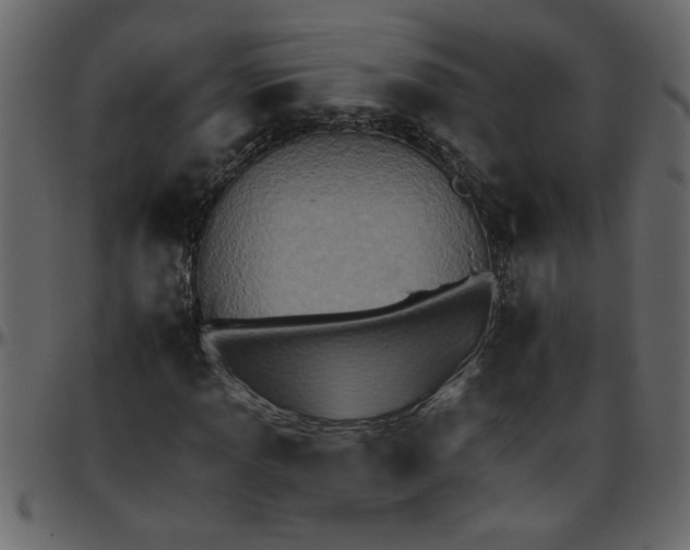 X0000095671013200801221200