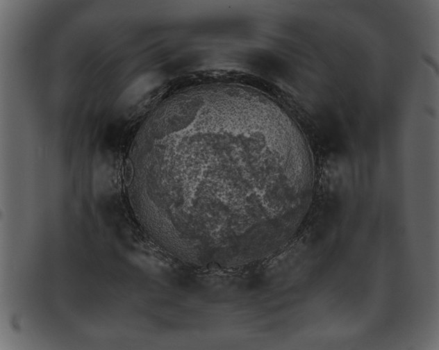 X0000095671014200801221200