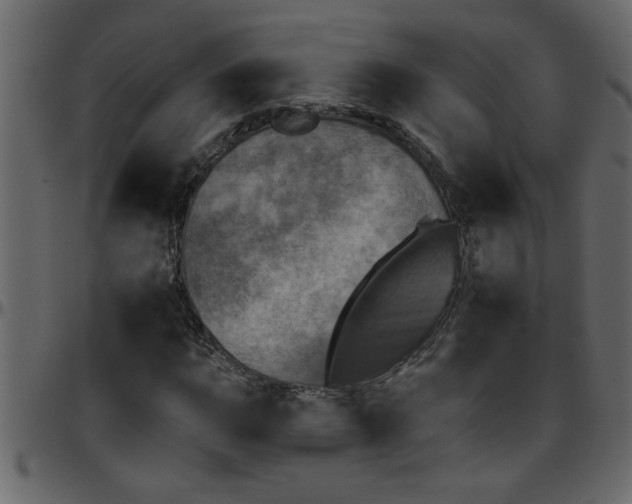 X0000095671015200801221200