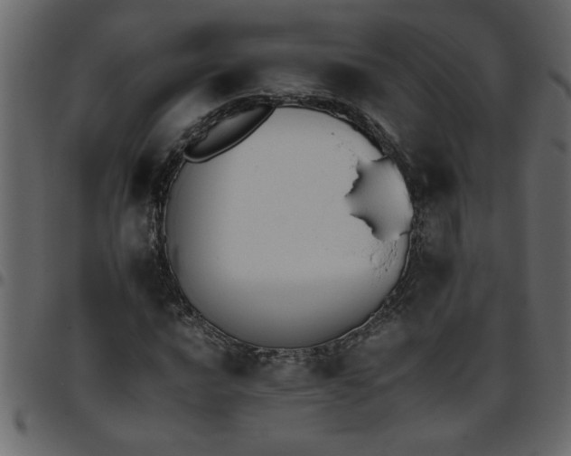 X0000095671016200801221200