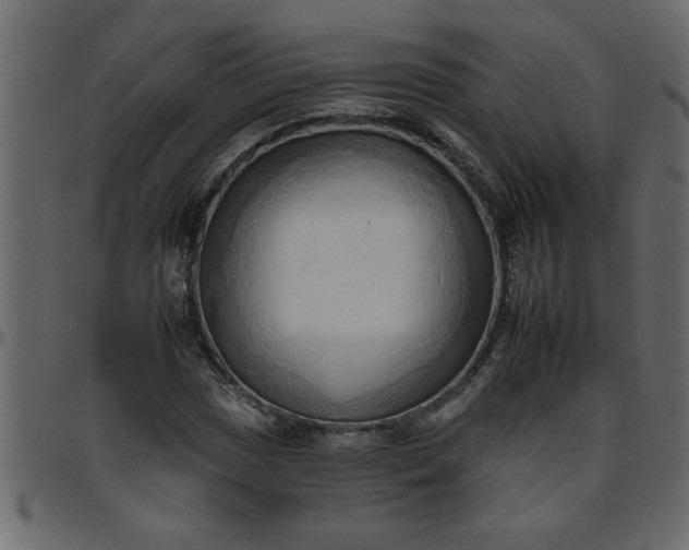 X0000095671017200801221200