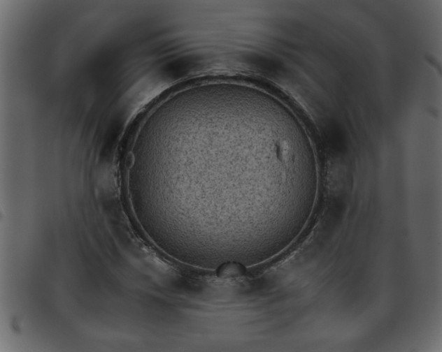 X0000095671018200801221200