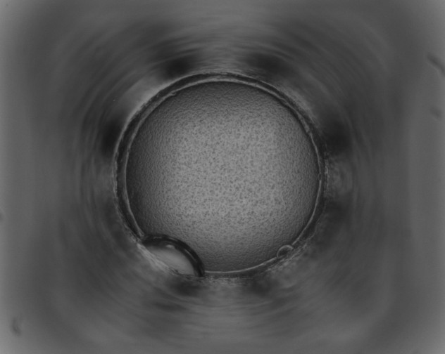 X0000095671020200801221200