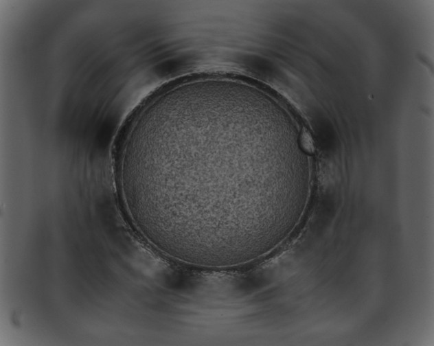 X0000095671022200801221200