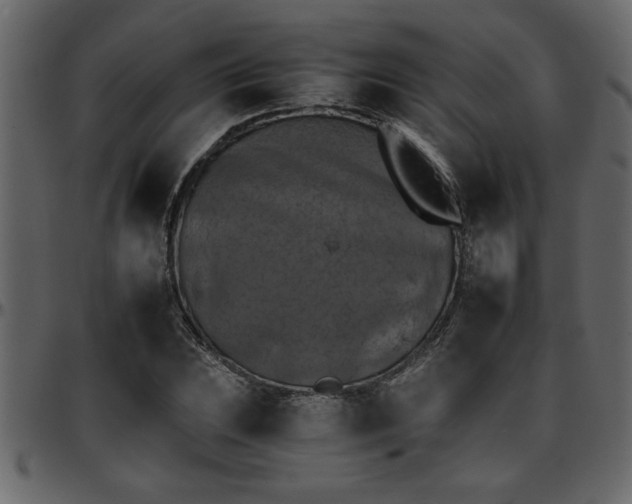 X0000095671023200801221200