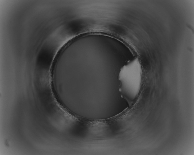 X0000095671024200801221200