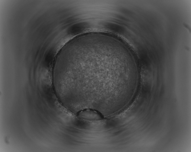 X0000095671025200801221200