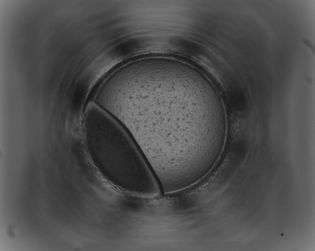 X0000095671026200801221200